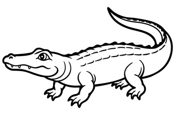 Alligator full body vector illustration line art and white background