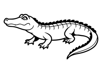 Alligator full body vector illustration line art and white background