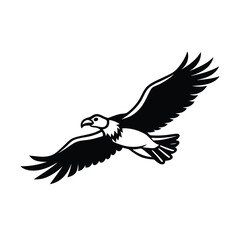 Fototapeta premium Vulture in Mid Flight Vector Detailed Wing Design