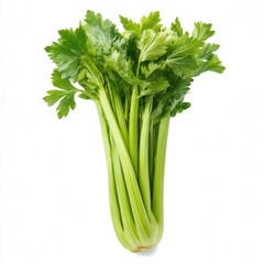 Fresh bundle of celery stalks isolated on white background