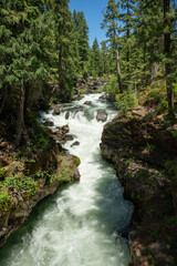 Rogue River