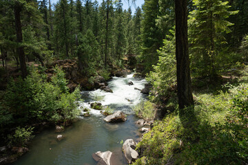 Rogue River
