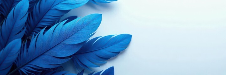 Blue feather pattern, white texture overlay, dark blue background Banners, delicate design , black, texture