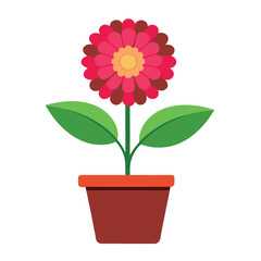 A create zinnia flower and with pot on white background.