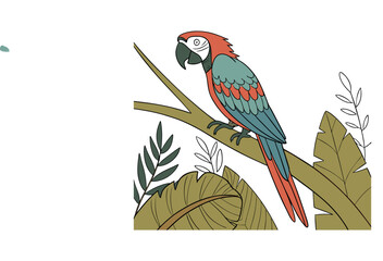 Ara macaw scientific of the macaw national bird of Honduras.