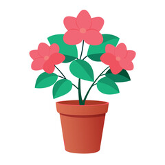 Create a azalea flowers with pot on white background 3.