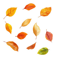 Vibrant autumn leaves in various shades