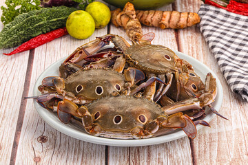 Wild raw crab for cooking