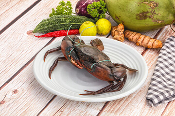 Wild raw crab for cooking