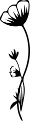 black and white flower hand drawing doodle