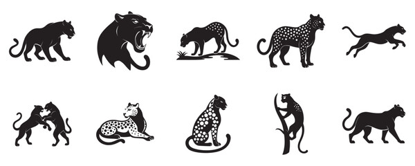 Leopard Activities Silhouette Vector Set Roaring, Crouching, Leaping, Drinking on White Background