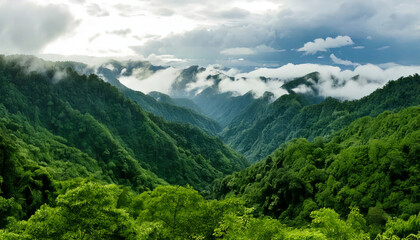Obraz premium Breathtaking mountains covered lush greenery create serene landscape, with rolling hills and misty clouds adding to tranquil atmosphere. vibrant emerald hues of vegetation enhance natural beauty