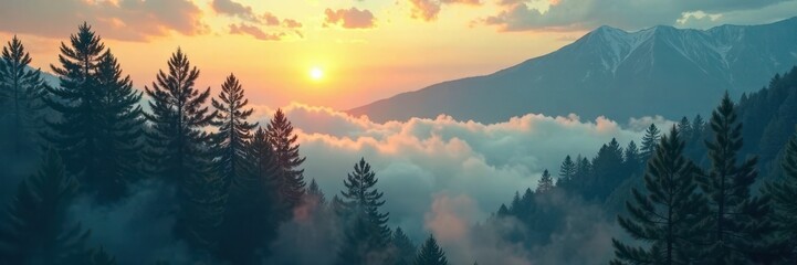 Fototapeta premium Dark smoke obscures sunlit pines; double exposure , woodland, ecology