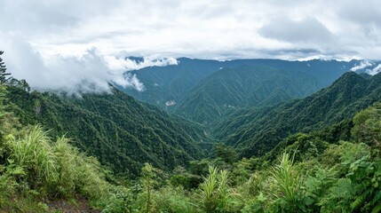 Obraz premium Verdant mountain landscape with lush green trees and rolling hills