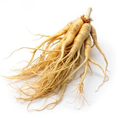 bunch of fresh green onions