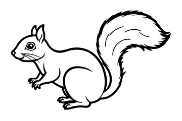 Squirrel vector illustration line art and white background