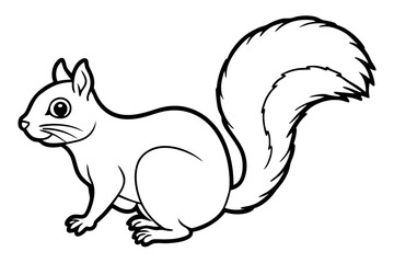 Squirrel vector illustration line art and white background