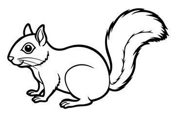 Squirrel vector illustration line art and white background