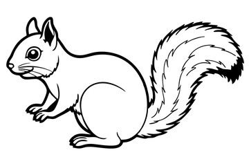 Squirrel vector illustration line art and white background