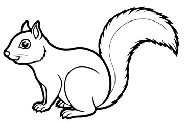 Squirrel vector illustration line art and white background