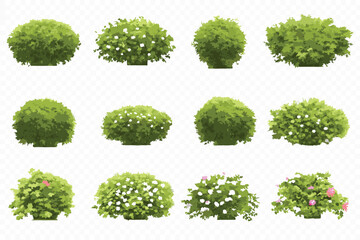Twelve Green Bushes and Shrubs with White and Pink Flowers
