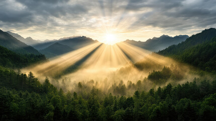 Golden sunbeams shine through mountain fog, illuminating serene forest landscape