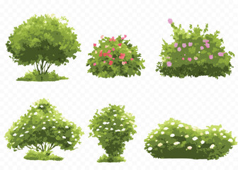 Fototapeta premium Six Watercolor Style Bush and Shrub Illustrations