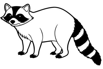 Raccoon vector illustration and white background