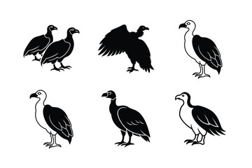 Vultures Vector Silhouette Dynamic Pose With Strong Style