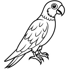 Parrot vector illustration line art and white background