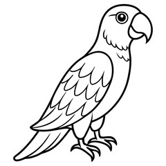 Parrot vector illustration line art and white background