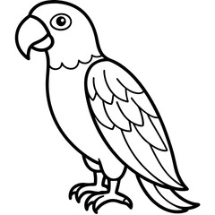 Parrot vector illustration line art and white background
