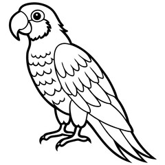 Parrot vector illustration line art and white background