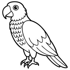 Parrot vector illustration line art and white background