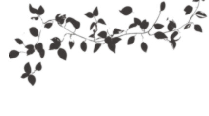  lush leaves tree shadow transparent background
