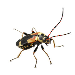 Fototapeta premium Detailed image of a colorful longhorn beetle