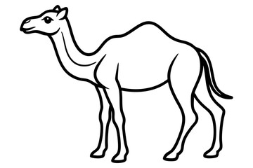 Camel vector illustration line art and white background