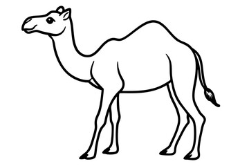 Fototapeta premium Camel vector illustration line art and white background