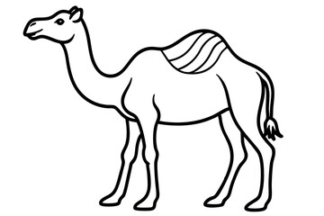 Camel vector illustration line art and white background