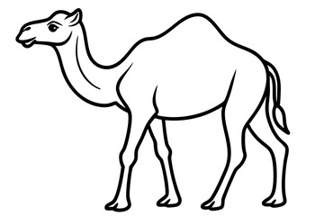Camel vector illustration line art and white background