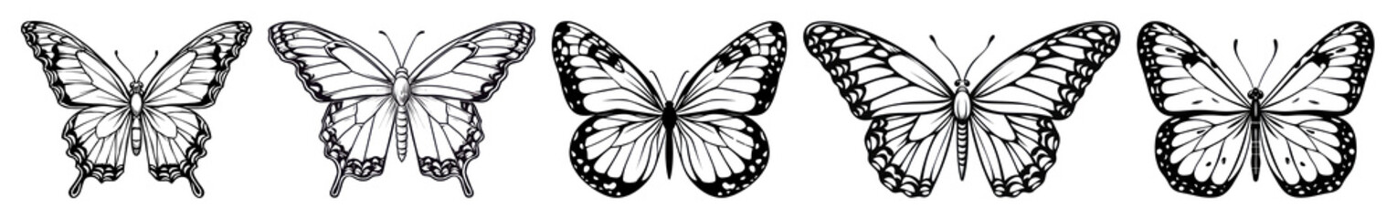 PNG Intricate black butterfly silhouettes, element set on transparent background