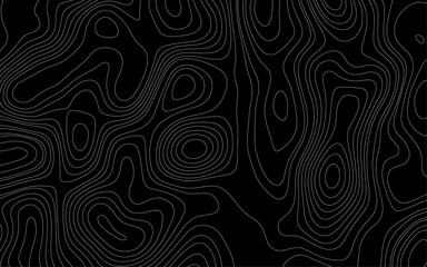 Topographic map patterns, topography line map. luxury topographic wavy pattern and geographic grid map patterns, topography line map. Vintage outdoors style. 