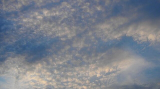Altocumulus high cumulus heaped cloud genus belongs to stratocumuliform. Globular masses or rolls in layers or patches. Cumuliform stratocumuliform clouds, altocumulus signifies convection. Blue sky.