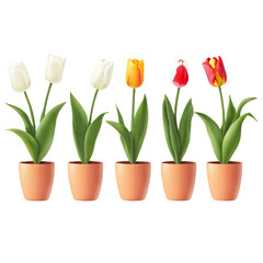 Spring Flower Pots Decor