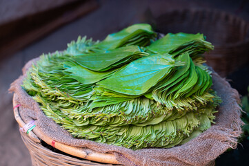 Betel leaves heap on a market in India, Piper betle used for chewing areca nut, asian herb