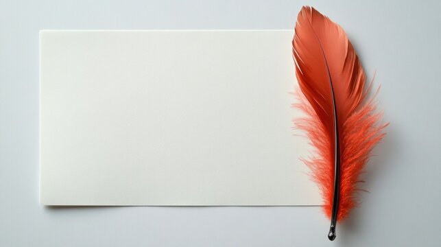 Blank paper with feather