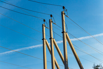 Three electric poles with wires attached to them