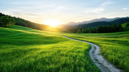 Obraz premium A beautiful scene showcasing a winding pathway through lush rolling hills embraced by the golden rays of a setting sun, inviting a sense of exploration and tranquility.