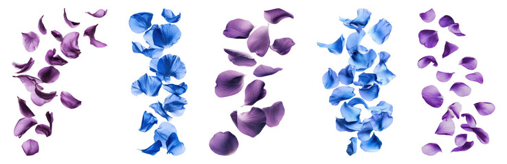 PNG Vibrant scattered flower petals, element set on transparent background