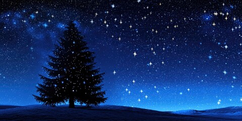 Pine tree silhouette against a star-filled night sky